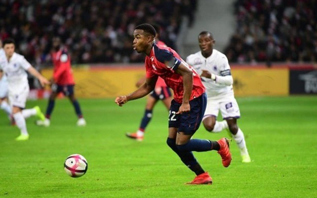 乃至全球的 乃至全球的